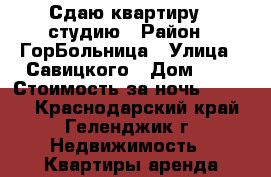 Сдаю квартиру - студию › Район ­ ГорБольница › Улица ­ Савицкого › Дом ­ 9 › Стоимость за ночь ­ 1 500 - Краснодарский край, Геленджик г. Недвижимость » Квартиры аренда посуточно   